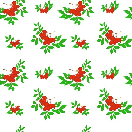 seamless pattern of several bunches of rowan on a white backgroundのイラスト素材