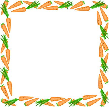 square frame of carrots on a white backgroundのイラスト素材