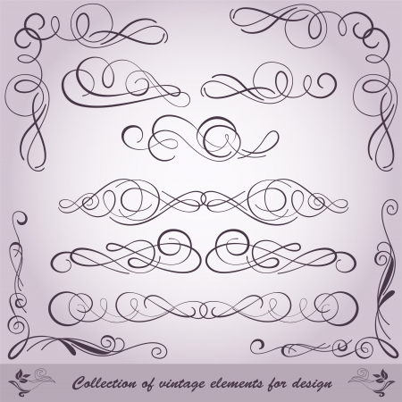 collection of vintage elements for designのイラスト素材