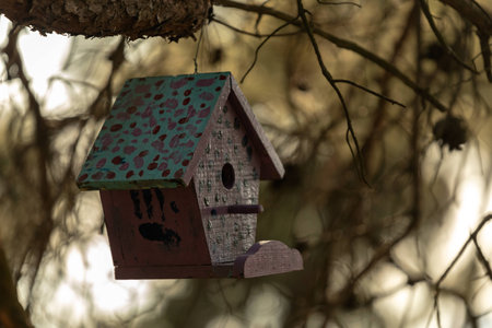 Birdhouse among the trees