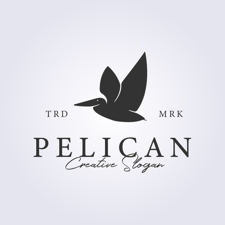 flying pelican bird in retro style for logo vector illustration design, vintage pelicanのイラスト素材