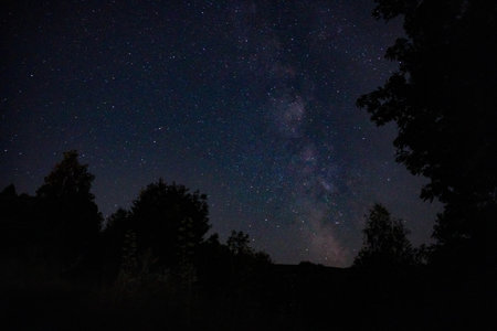 Milky Way over the forest at night. Beautiful starry sky.の写真素材
