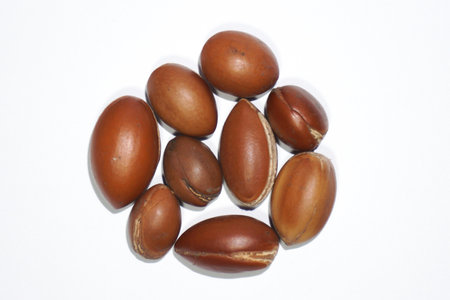 Argan seed nuts isolated on a white background, closeup of photoの写真素材