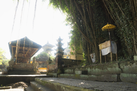 Large tree, shrine and balinese temple with moss and backlight, Pura Samuan Tiga, Ubud, Bali...