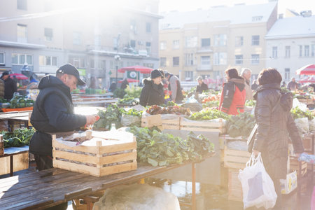 Zagreb, Croatia: January 7 2016: Man sorting out vegetables at Dolac market during wintertime with snow at a sunny dayのeditorial素材
