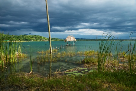 View to village with dock along the lake shore with birds sitting on sticks, El Remate, Peten, Guatemalaの写真素材
