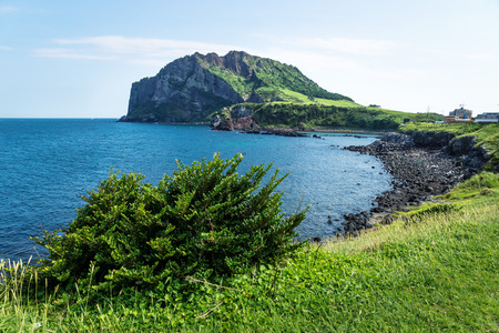 Grassfields with view over ocean and volcano crater Ilchulbong in the background, Seongsan, Jeju Island, South Koreaの写真素材