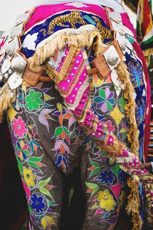 Close up of a colorful painted and decorated elephant back for Holi Elephant Festival in Jaipur, Rajasthan, Indiaの写真素材