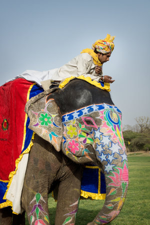 Jaipur, Rajasthan, India - 7 March 2012: Dressed up man lying at colorful decorated elephant at the Holi Elephant Festivalのeditorial素材