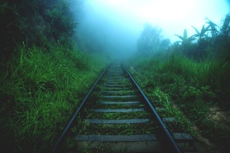 Dark wet railroad through green dark foggy jungle forest, Ella Sri Lankaの写真素材