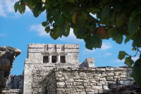 El Castillo Maya ruins framed by tropical plants with blue sky, Tulum, Mexicoの写真素材