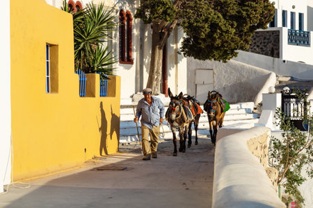 Fira, Santorini, Greece - 20 July 2014: Man in traditional Greek clothes walking with two donkeys for riding along village streetsのeditorial素材