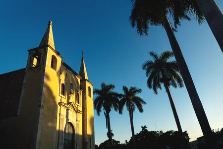 Santa Ana Church framed by palm trees during sunset light, and cloudless blue sky Merida, Yucatan, Mexicoの写真素材