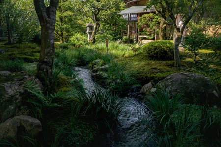 Kyoto, Japan - September 18, 2017: Mystical Japanese zen garden Sogenchi with little river running in lush forest landscape at temple Tenryu-jiのeditorial素材