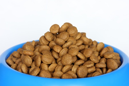 details of a pile of dog food in a blue bowl.