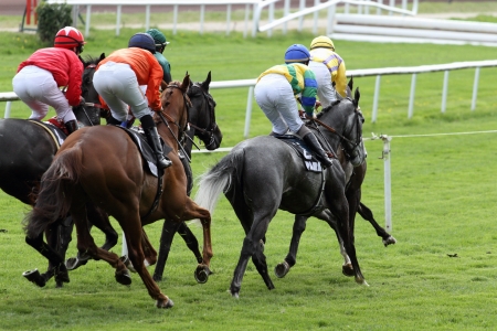 details of a Horse Racingの写真素材