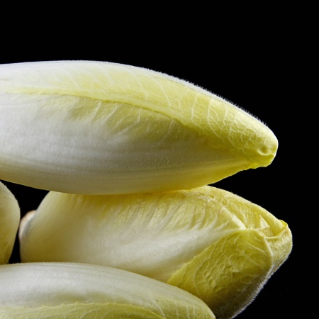 details of endives isolated on blackの写真素材
