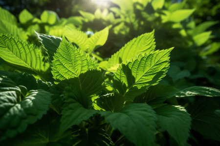 Generative AI A closeup shot of green nettle leaves against a bokeh backgroundの素材