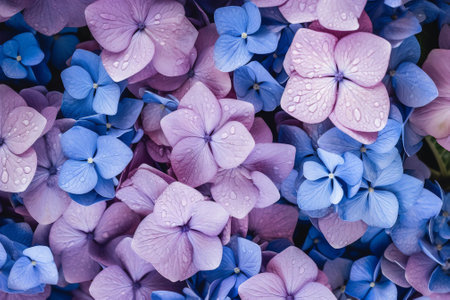 Generative AI Extreme close up of hydrangea flower petalsの素材