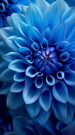 Generative AI Abstract floral background, blue carnation flower petals. Macro flowers backdrop for holiday brand design.の素材