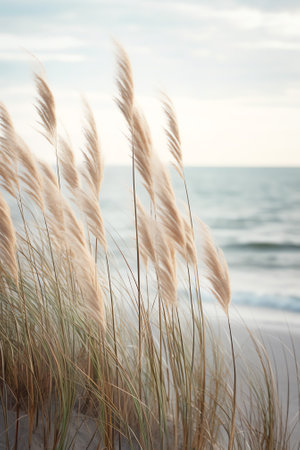 Generative AI Wild grasses on the sea coast at sunset. Macro image, shallow depth of field. Beautiful autumn nature backgroundの素材