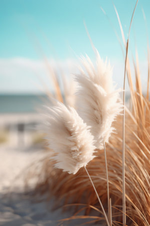 Generative AI Wild grasses on the sea coast at sunset. Macro image, shallow depth of field. Beautiful autumn nature backgroundの素材