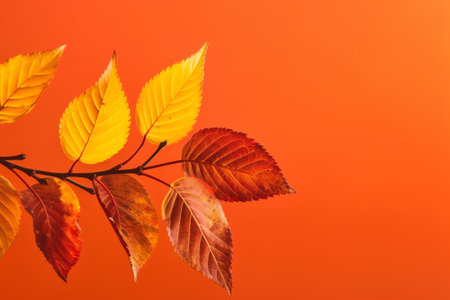 Generative AI macro shot orange autumn leaves textureの素材