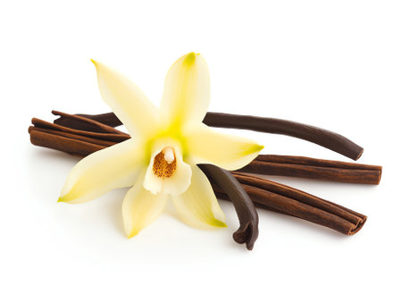 Generative AI Vanilla flower sticks and leaves isolated on white background as package design elementの素材