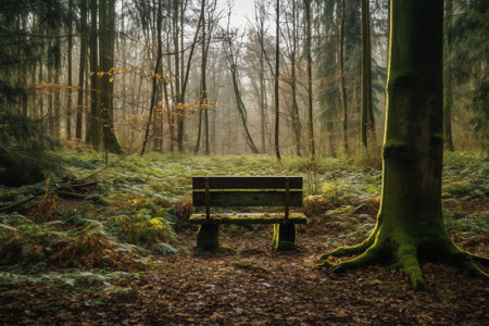 An old benchの素材