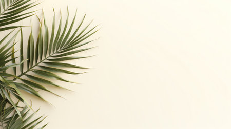 Palm leaves shadow on pastel beige wall background . Summer tropical beach background. Top view, flaの素材