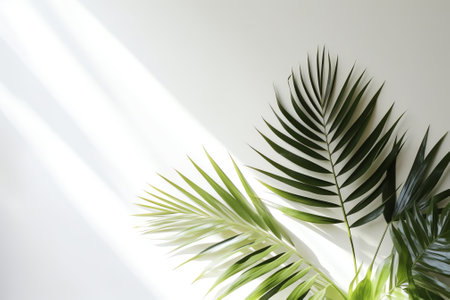 Bright white wall with green tropical leaves, sunlight with shadows. Summer, spring background. 3d rの素材