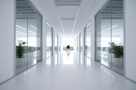 Blank and empty office corridor with white and glass walls. Black door is leading to a meeting room.の素材