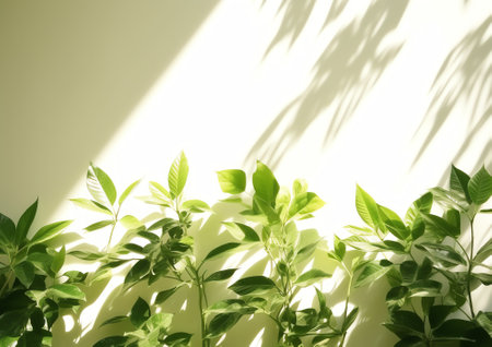 Bright white wall with green tropical leaves, sunlight with shadows. Summer, spring background. 3d rの素材