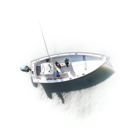 Generative AI : Aerial drone top down photo of inflatable speed boat anchored in tropical exotic island covered with pine treesの素材