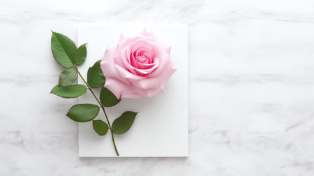 Generative AI : Beautiful Decorative Colorful Roses on Brick Wall Wedding Party Decor Detail Delicate Clambering Plant Blossom Pastel Flower on White Background Elegant Arrangementの素材