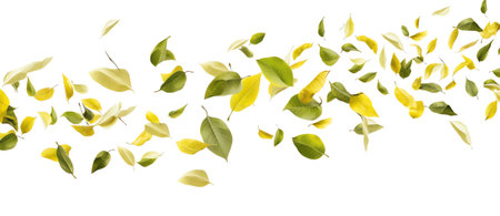 Generative AI : Apple leaves isolated on white Collectionの素材