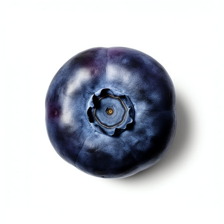 Generative AI : Blueberries Blueberry isolate on white Top viewの素材