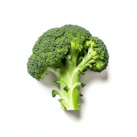 Generative AI : Broccoli isolated Broccoli on white background Full depth of fieldの素材