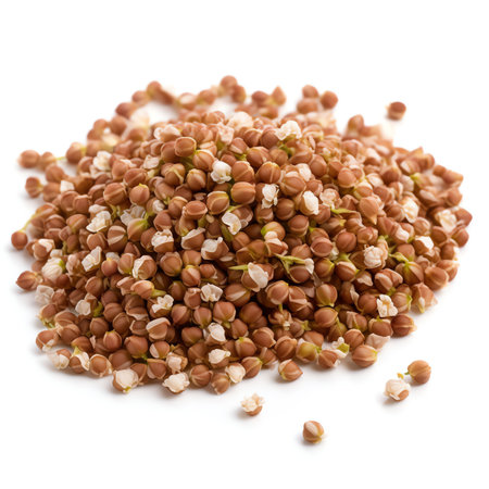 Generative AI : Buckwheat flowers isolated on white backgroundの素材