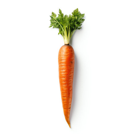 Generative AI : Carrot isolate Carrots on white background Carrot slice sticks cubesの素材