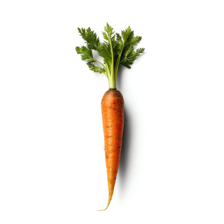 Generative AI : Carrot isolated Organic vegetableの素材