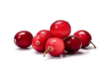 Generative AI : Cranberries isolated Collection on whiteの素材