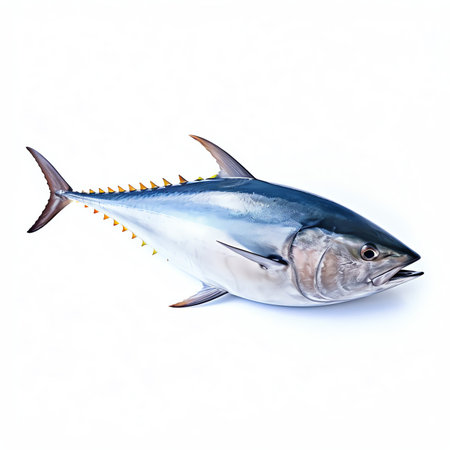 Generative AI : Tuna Canned fish isolated on whiteの素材