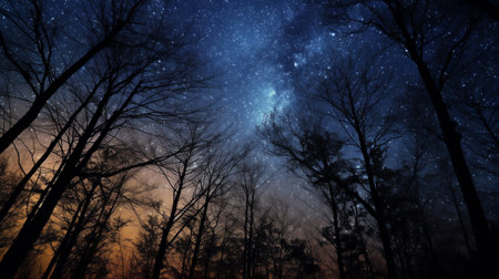 Generative AI : Silhouette of trees under night skyの素材