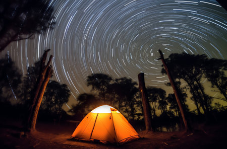 Generative AI : Long exposure star trails in the night sky against the background of tree crowns in the forestの素材