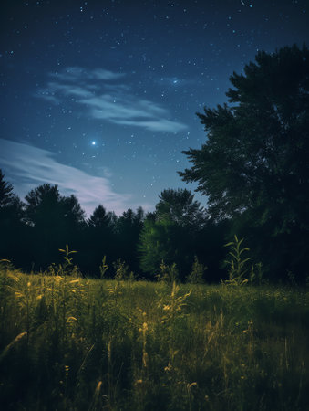 Generative AI : Starry night sky with no clouds Clear August night in southern Poland 2022 Observation of night skyの素材