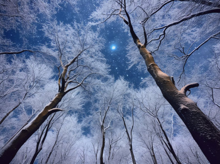 Generative AI : Trees at winter under sky full of starsの素材