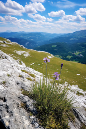 Generative AI : View of Razor mountain SloveniaTriglav National Park Julian Alps Slovenia Europeの素材