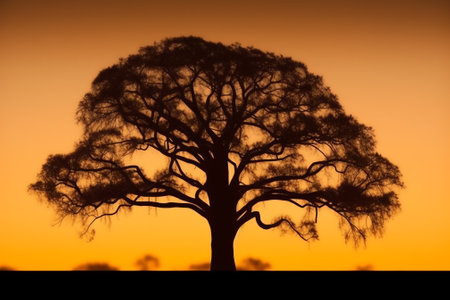 Generative AI : Dramatic African Sunset silhouette with treeの素材