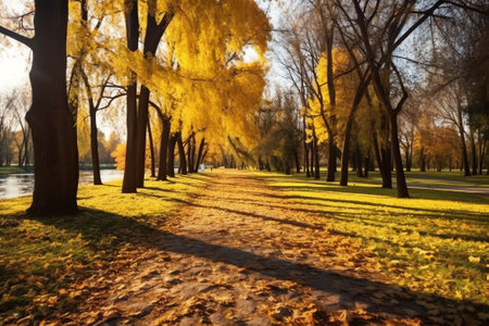 Generative AI : A carpet of beautiful yellow and orange fallen leaves against a blurred natural park and blue sky on a bright sunny day Natural autumn landscapeの素材